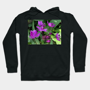 Forest Bathing with the Perfectly Pure Purple Wildflower Hoodie